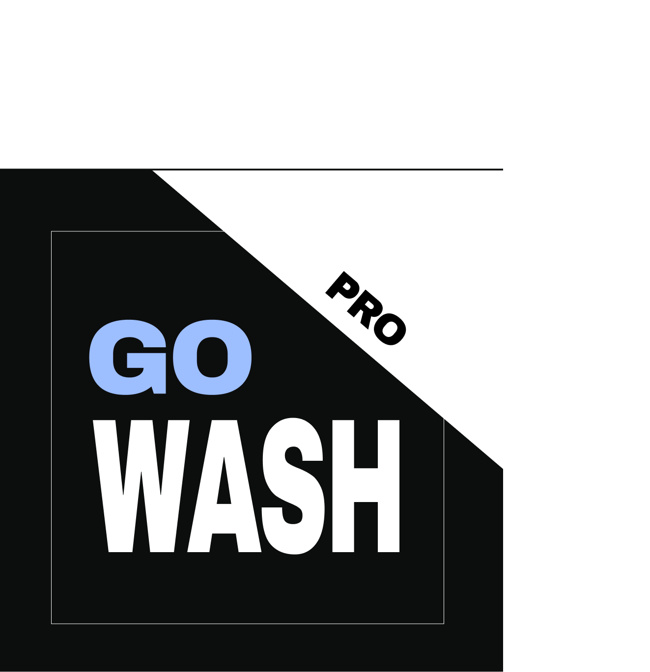 GoWash Pro